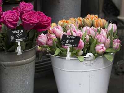 Blumenkuebel mit Karten beschriftet